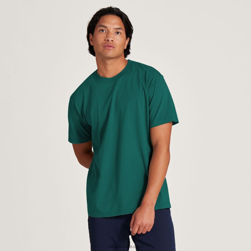 camiseta allgood de algodón para hombre esmeralda profunda Allbirds 44L20F122