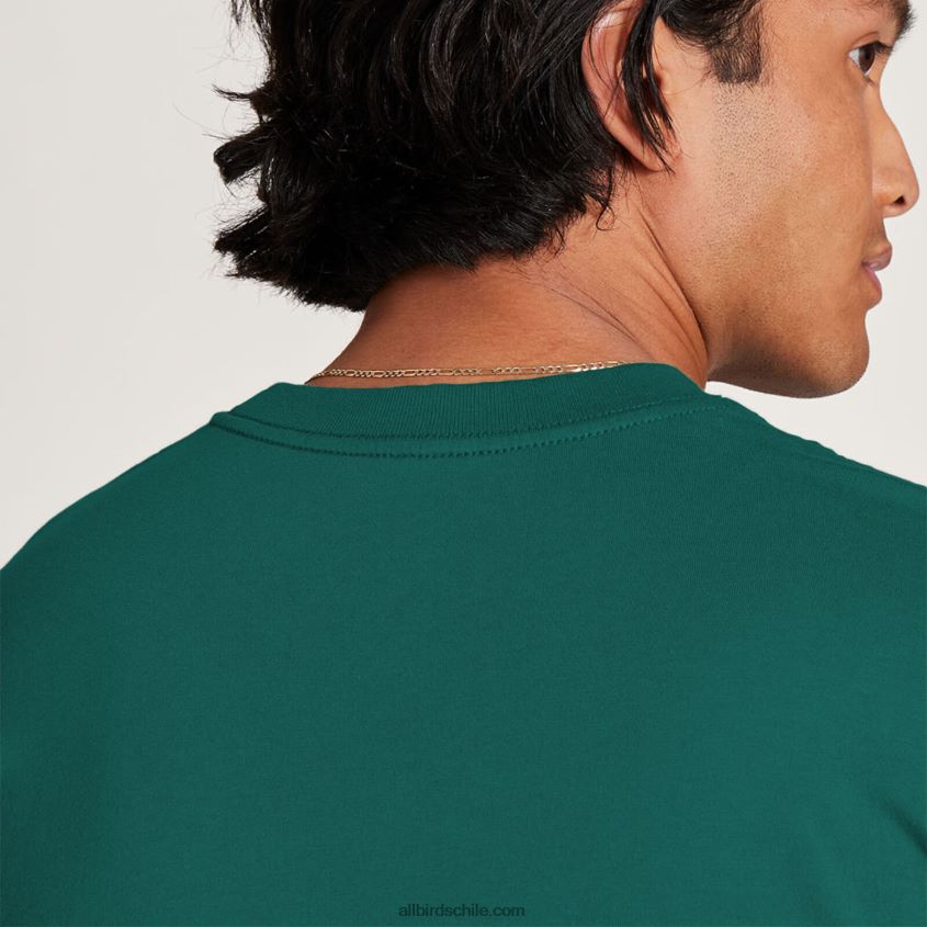 camiseta allgood de algodón para hombre esmeralda profunda Allbirds 44L20F122