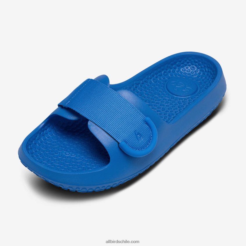 deslizadores de azúcar para hombres azul puro Allbirds 44L20F62
