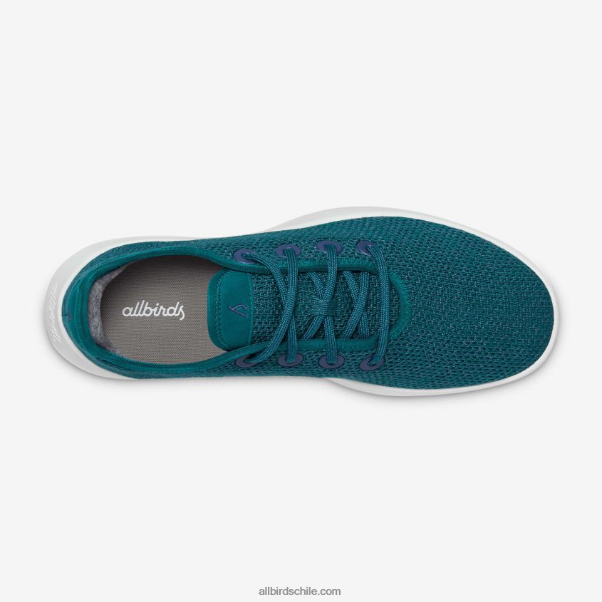 corredores de árboles para hombres esmeralda profunda (suela ventisca) Allbirds 44L20F8