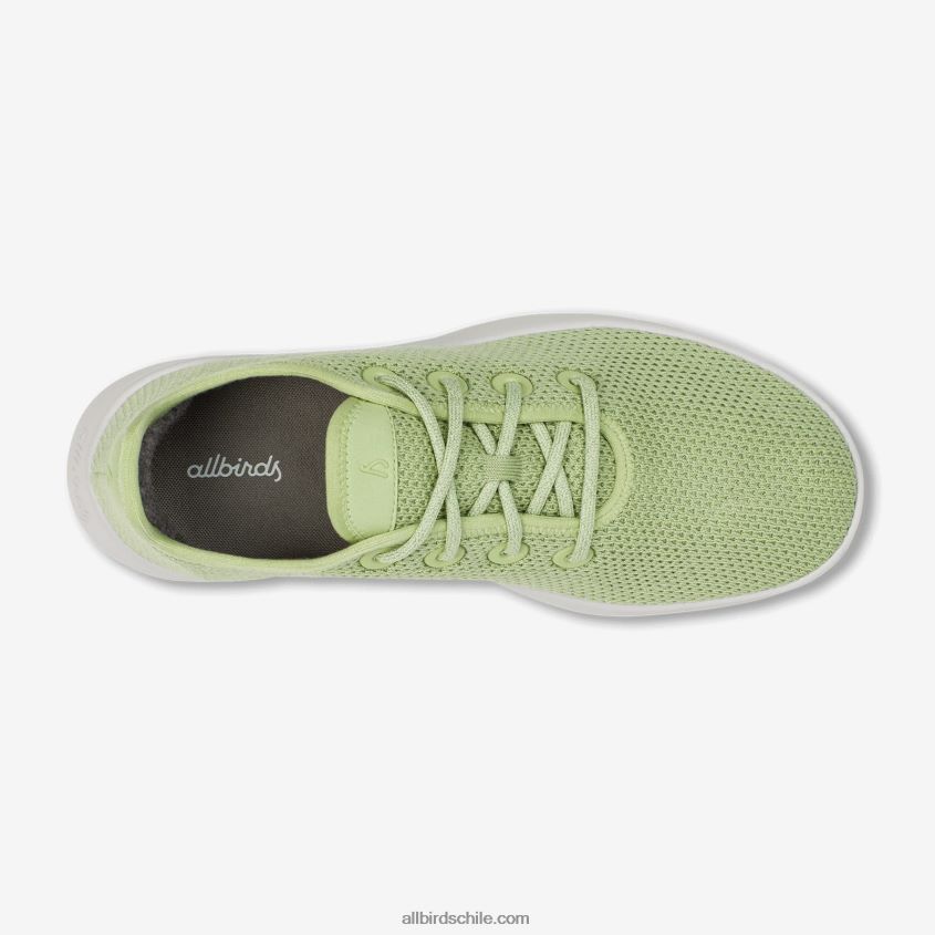 corredores de árboles para hombres verde forraje (suela ventisca) Allbirds 44L20F12
