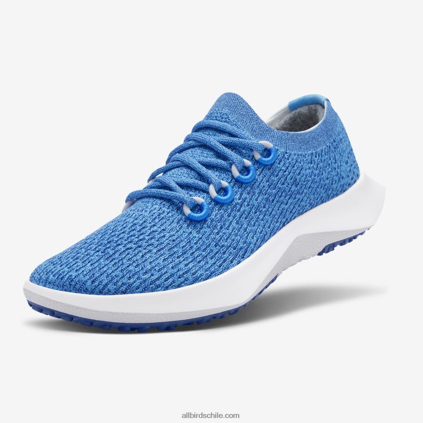 árbol dasher de los hombres 2 azul flotante (suela ventisca) Allbirds 44L20F23