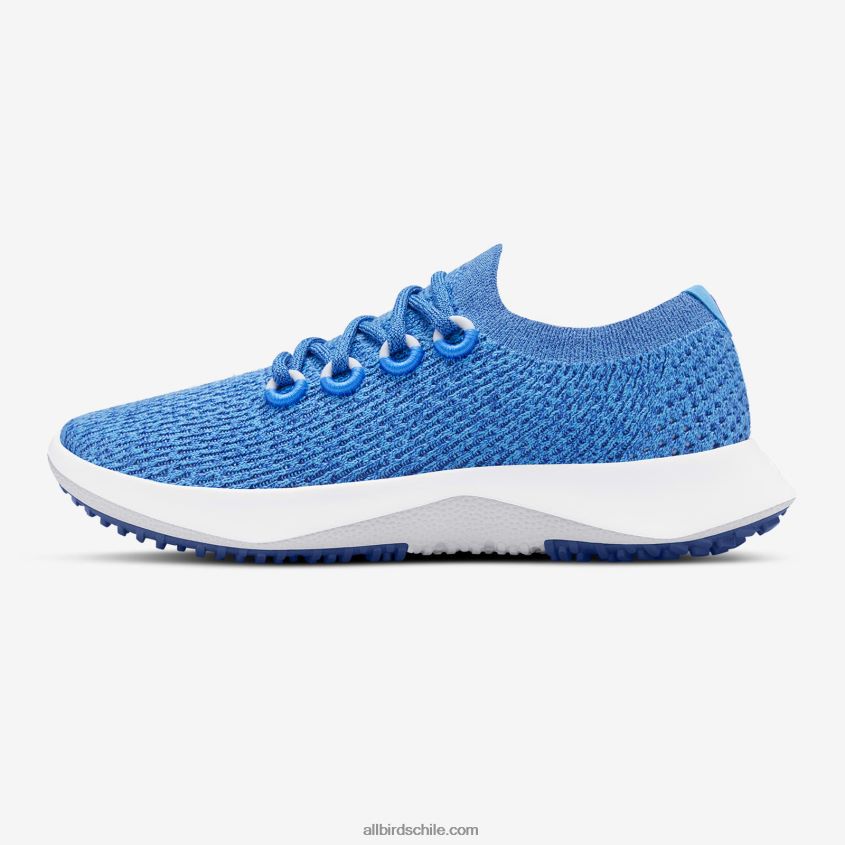 árbol dasher de los hombres 2 azul flotante (suela ventisca) Allbirds 44L20F23
