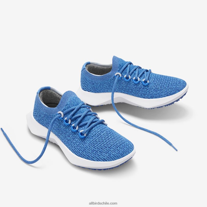 árbol dasher de los hombres 2 azul flotante (suela ventisca) Allbirds 44L20F23