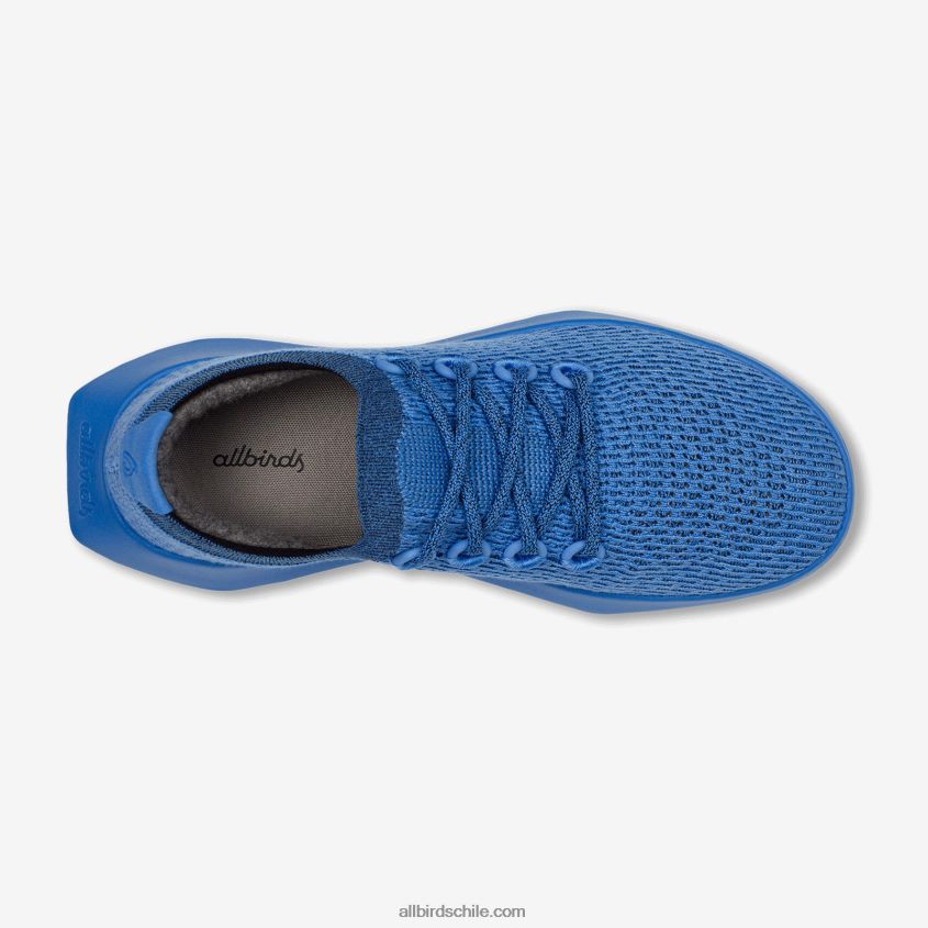 árbol dasher de los hombres 2 azul puro Allbirds 44L20F21