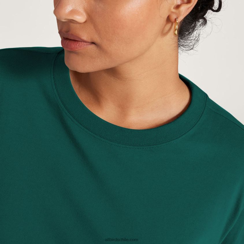 camiseta allgood de manga larga de algodón para mujer esmeralda profunda Allbirds 44L20F221