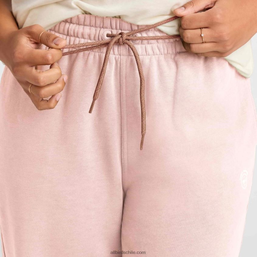 pantalón de chándal r&r mujer gris pardo tranquilo Allbirds 44L20F212