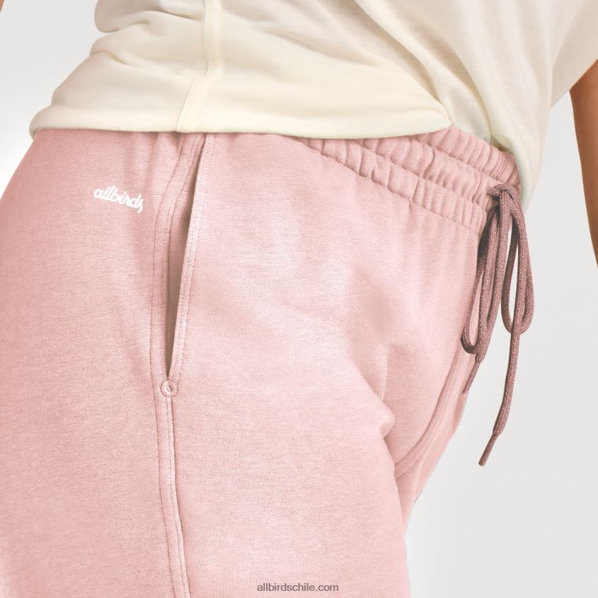 pantalón de chándal r&r mujer gris pardo tranquilo Allbirds 44L20F212