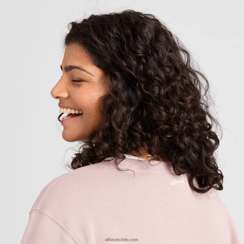 sudadera r&r mujer gris pardo tranquilo Allbirds 44L20F208