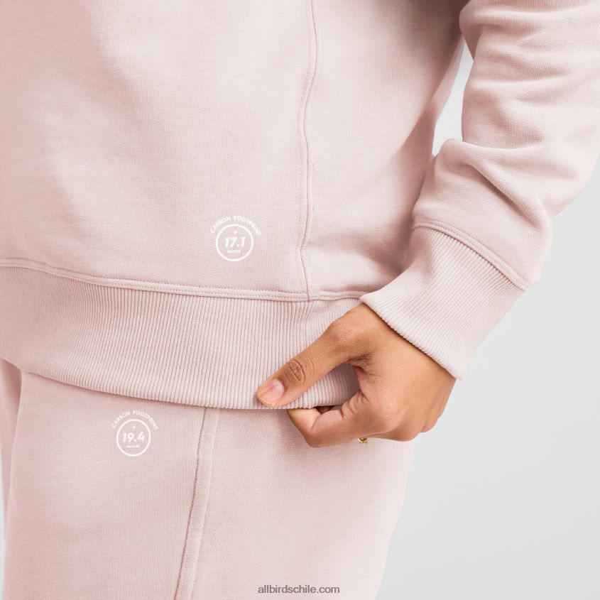 sudadera r&r mujer gris pardo tranquilo Allbirds 44L20F208