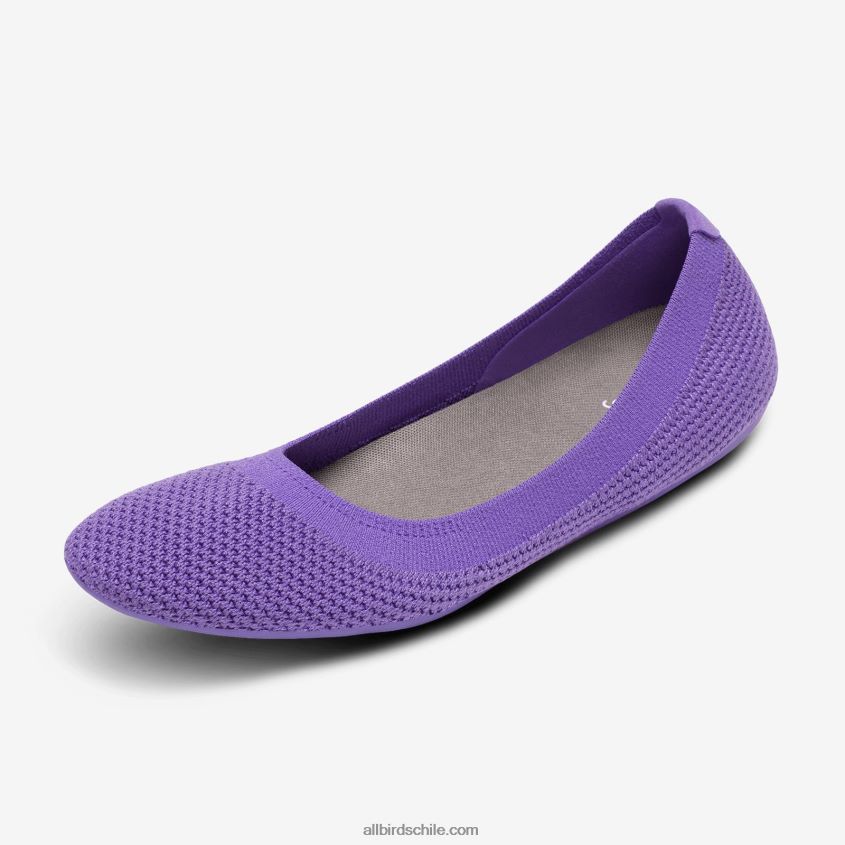 cortavientos para mujer chía púrpura Allbirds 44L20F165
