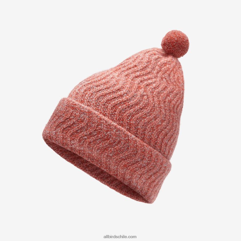 gorro con pompón de pájaros pequeños - niños pequeños arce Allbirds 44L20F255